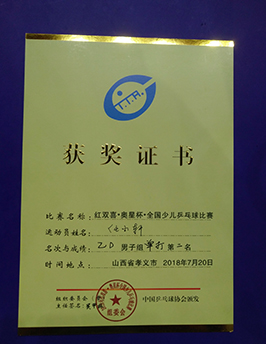 紅雙喜.奧星杯全國少兒乒乓球比賽.jpg